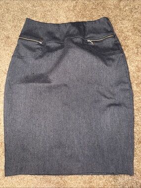 Gray Pencil Skirt with Zipper Detail